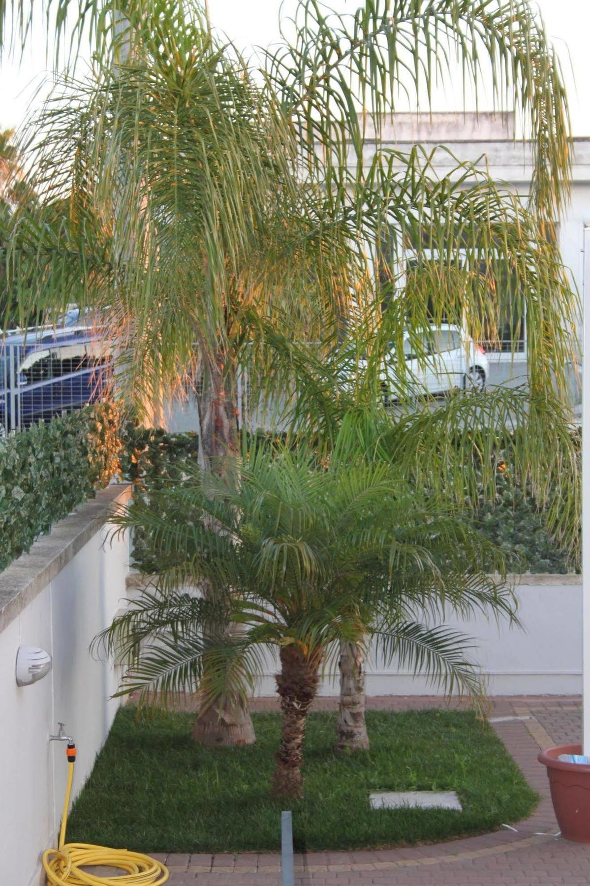 Kalinifta Residence Карпиняно Салентино Екстериор снимка